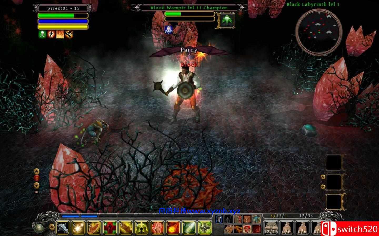 《丁神的诅咒（Din’s Curse）》v1.034 [英文]