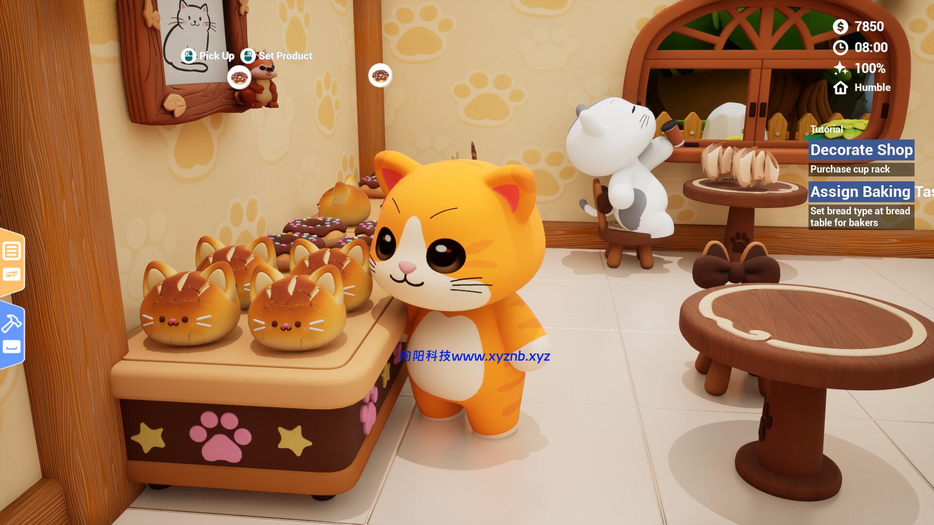 猫遇咖啡/Bean Meets Paw-向阳博客