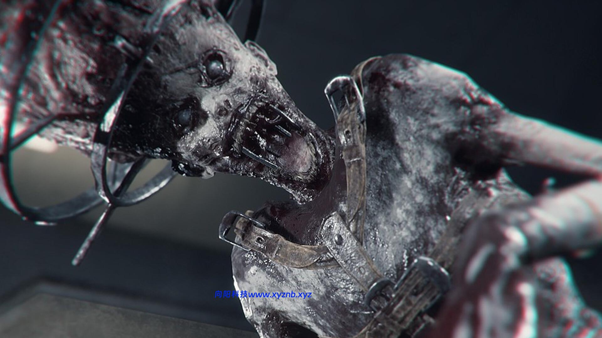 绿光/The Green Light