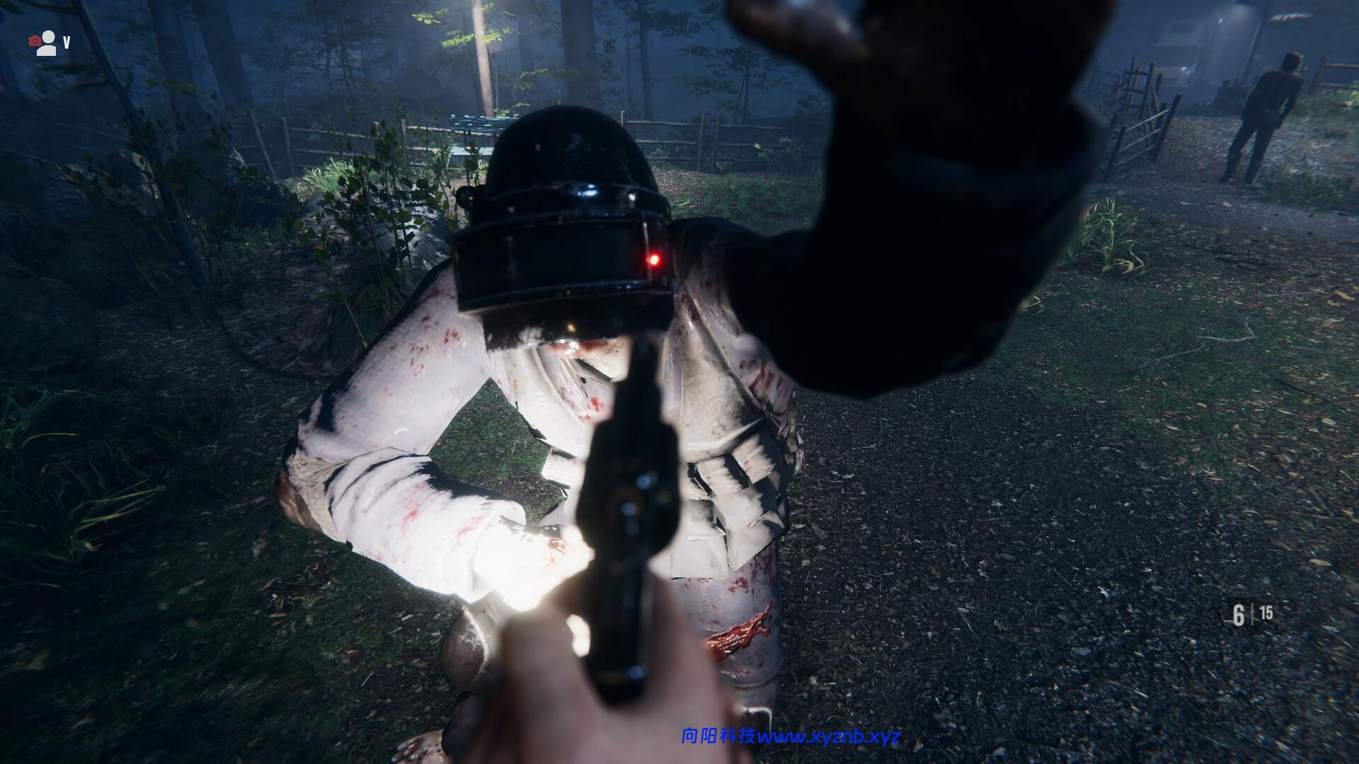 消逝的真相/Perished Truth-向阳博客