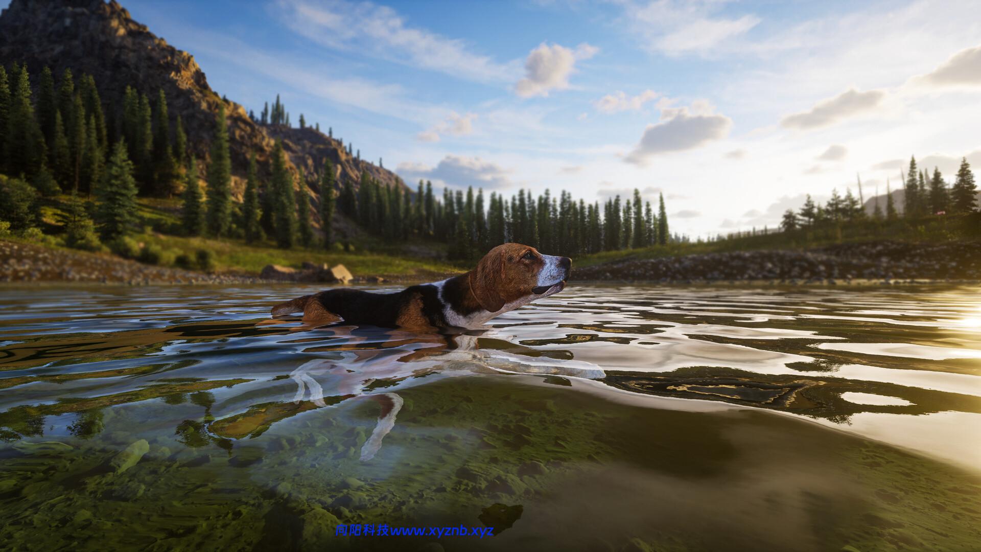 狩猎之道2/Way of the Hunter 2-向阳博客