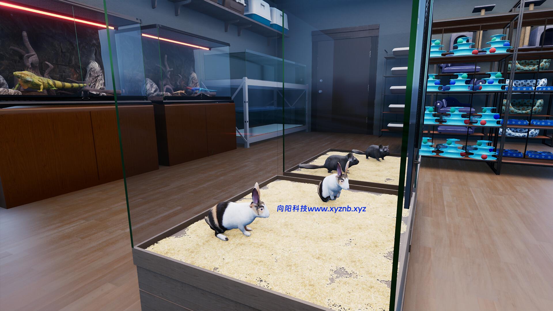 异域风情2：宠物店模拟器/Exotica 2: Pet Shop Simulator