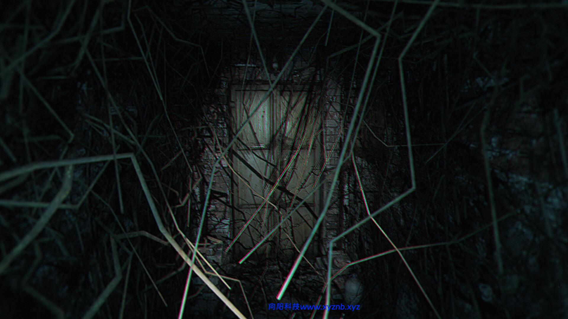 诡异之光/The Strange Lights