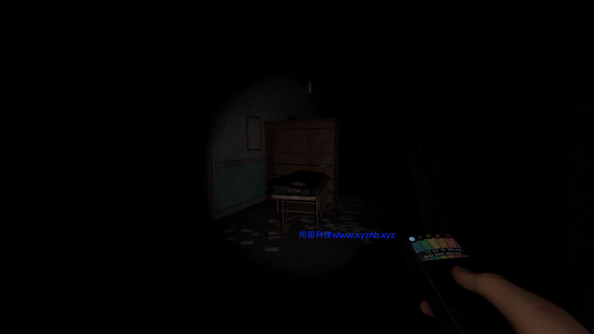 恐鬼症/Phasmophobia 恐鬼症/Phasmophobia