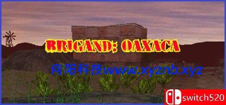 《盗团：瓦哈卡（Brigand: Oaxaca）》v17.6 [英文]