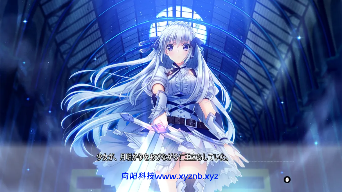 【日版】Yggdra Kingdom 日语