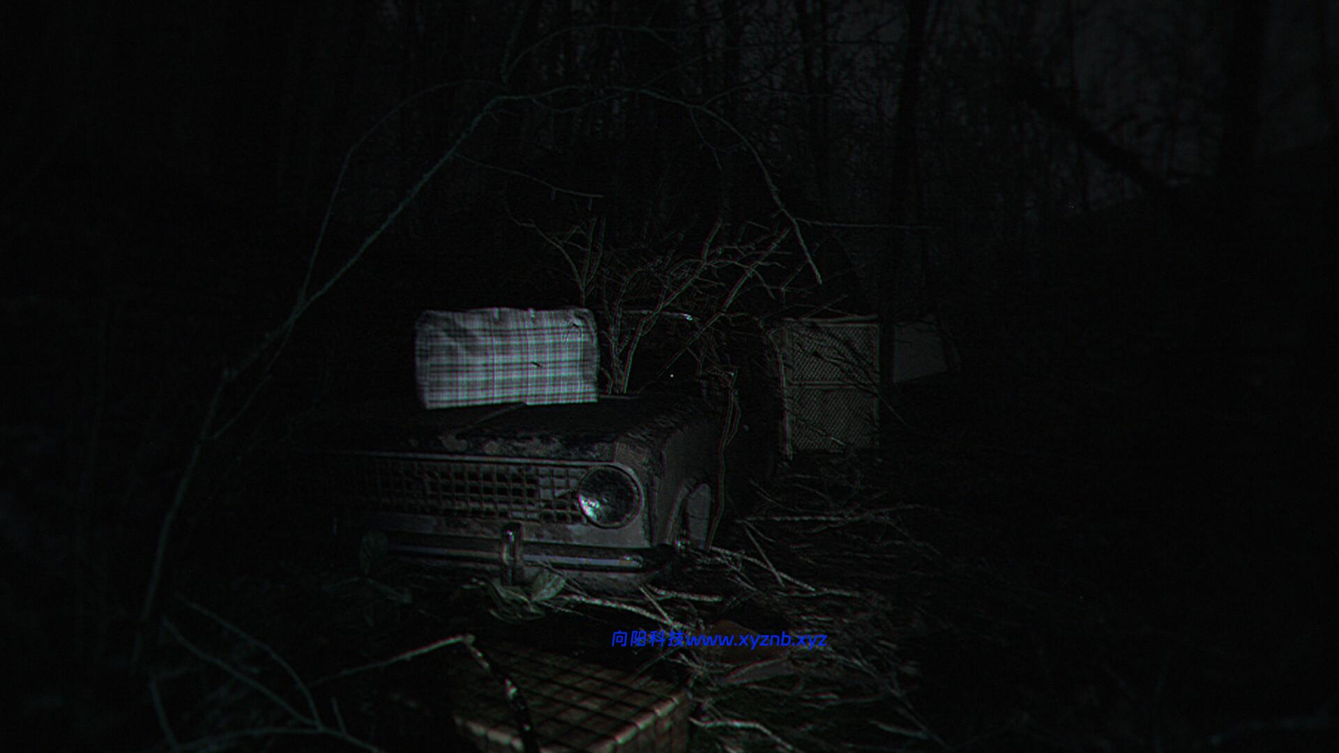 诡异之光/The Strange Lights