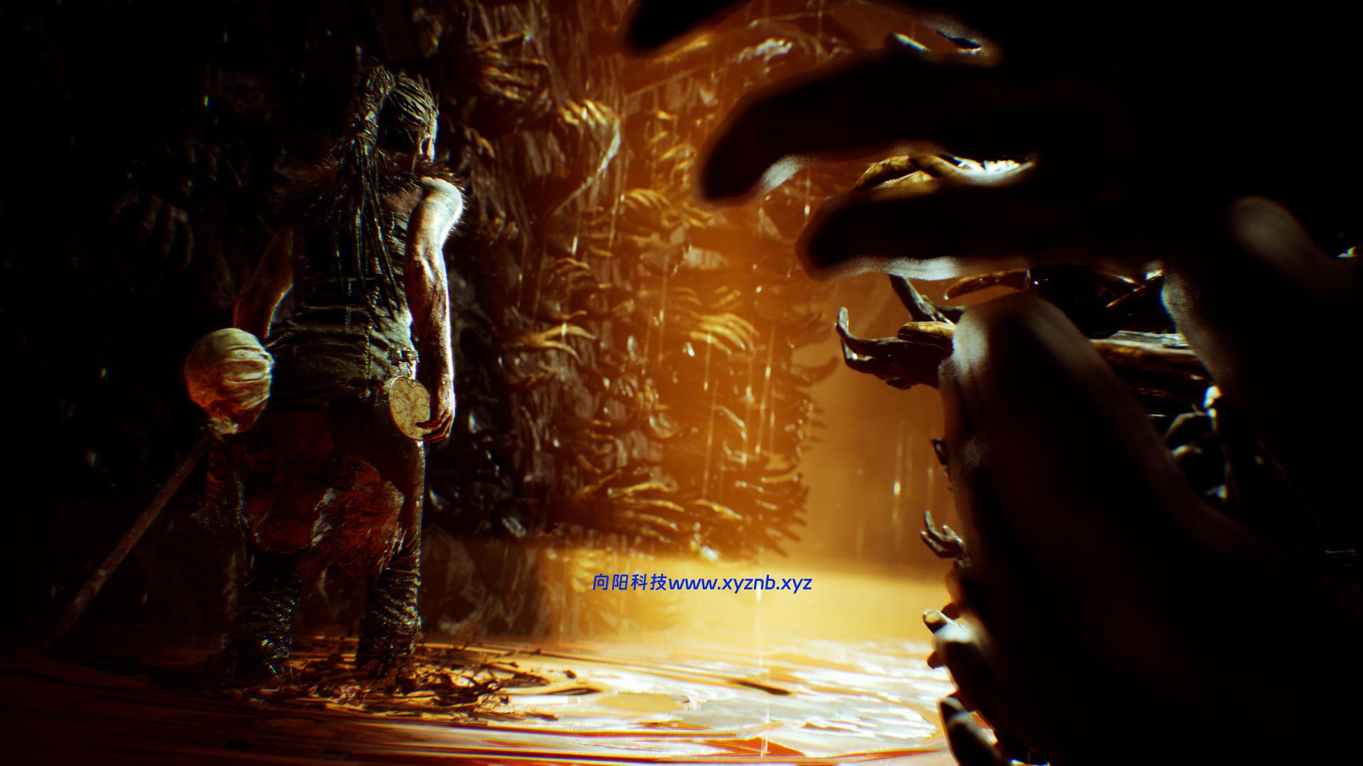 地狱之刃：塞娜的献祭/Hellblade: Senua’s Sacrifice